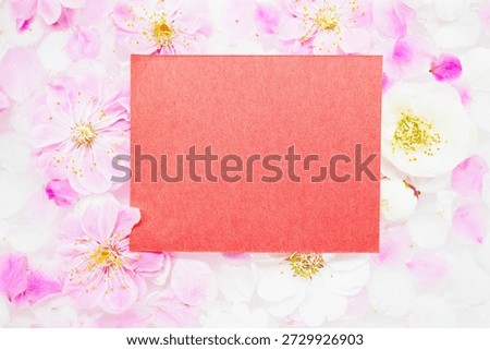 Mockup of a red message space with floating plum blossoms on water as the background
