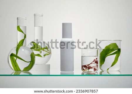 Mockup scene for organic cosmetic with white bottle unbranded with experimental flasks containing red and green seaweed leaves on glass pedestal on backlit background. Space for design