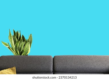 a mockup of a sofa in a living room with a plant in the background with a vertical frame for photo in black - Shutterstock ID 2370134213