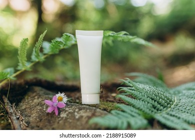 Mockup Of A Tube For Cream On A Natural Background In The Forest, An Environmentally Friendly Product, Natural Components