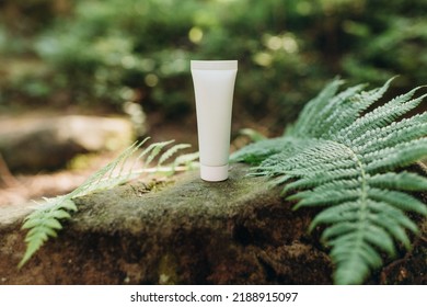 Mockup Of A Tube For Cream On A Natural Background In The Forest, An Environmentally Friendly Product, Natural Components