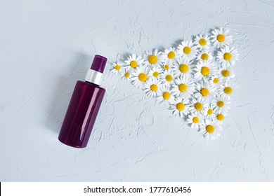 Mock-up Of Unbranded Brown Plastic Spray Bottle And Chamomiles On A Pastel Gray Background. Natural Organic Spa Cosmetics, Spray Concept. Body Mist, Brume Corps. Flower Flat Lay.