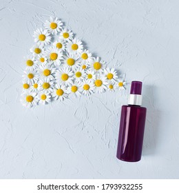 Mockup Of Unbranded Brown Plastic Spray Bottle And Chamomiles On A Pastel Gray Background. Natural Organic Spa Cosmetics, Spray Concept. Body Mist, Brume Corps. Flower Flatlay. Square Photo.