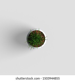 Mockup/Scene Generator - Plants With White Background