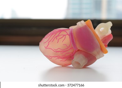 Model 3D Printer Of Human Heart, Photo Polymer System