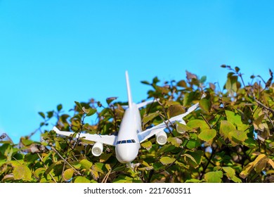 Model Aircraft Landed On A Bush