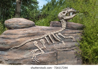 Model Dinosaur Skeleton In Stone Fossil Inside A Park In Italy