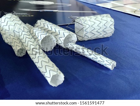 Model of endovascular stent grafts or aortic stent grafts.