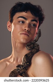 Model, Face And Man With Snake In Studio On Gray Background For Beauty, Fashion And Art. Creative, Nature And Headshot Of Young Male With Reptile On Body Pose For Cosmetics, Skincare And Body Care