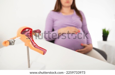 Model of the female reproductive system against the background of a pregnant girl. The concept of urogenital genital infections, mycoplasma and trichomoniasis during pregnancy.