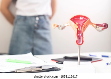 A model of the female reproductive system in the background is a girl in a doctor s office with irregular periods. The concept of problems for women with a period of menstruation, oligomenorrhea