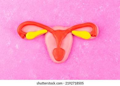 A Model Of A Female Uterus On A Pink Background. The Concept Of Women's Health, Uterine Cancer And A Woman's Reproductive System.