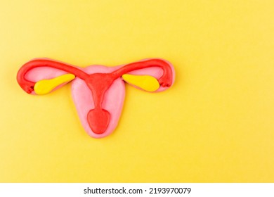 A model of a female uterus on a yellow background. The concept of women's health, cancer of the uterus and reproductive system of women, ovulation, pregnancy. Space for text. - Shutterstock ID 2193970079