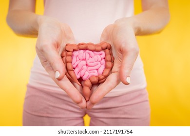 Modell des Gastrointestinaltrakts. Konzept der Gesundheit des menschlichen Verdauungssystems. Frauen Hände mit Darmmodell. Gesundheitsfürsorge für den menschlichen Magen. Mädchen mit Därmen auf gelbem Hintergrund.