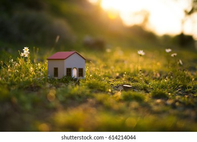 Model house in the meadow with grass and daisies in the evening.