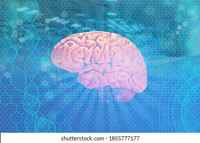 model of the human brain, the concept of medical health, intellectual capabilities, the study of the activity of the cerebral cortex, psyche and consciousness