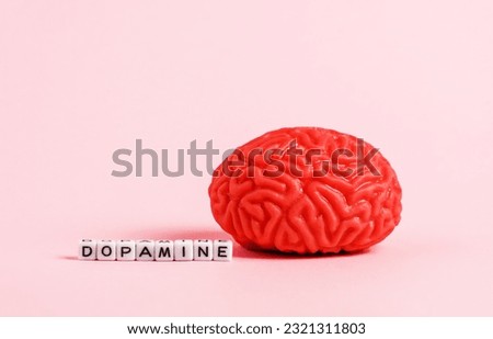 Model of the human brain with letter cubes with the inscription dopamine on a pink background.