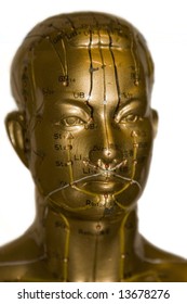 Model of human head with acupuncture points - traditional chinese medicine