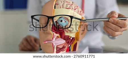 Model of human head showing brain and eye. Visual impairment and neurological causes of vision loss. Problems with focusing vision.