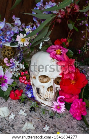Model of a human skull surrounded by beautiful flowers, concept of death acceptance and loss.
