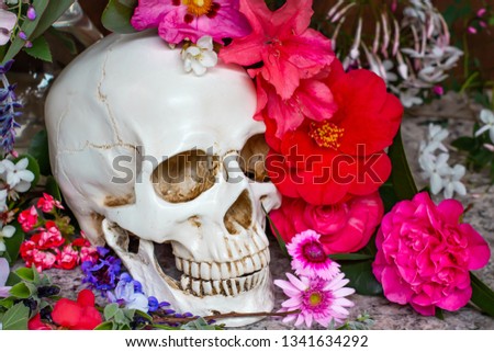 Model of a human skull surrounded by beautiful flowers, concept of death acceptance and loss.