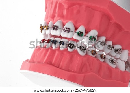 Model of human teeth, Full Denture, Dental plate. Teeth orthodontic dental model or human jaw. Selective focus on teeth. Dentist using jaw mock and toothbrush to teach patient correct cleaning of teet