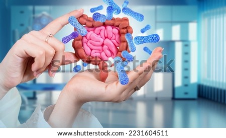Model intestinal tract. Doctors hands with intestines. Large and small intestine with probiotics. Useful substances for digestion. Taking care digestion. Hands doctor with probiotic-rich intestines