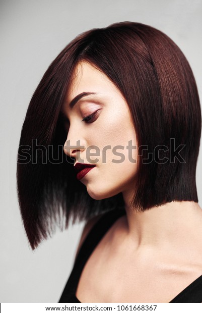 Model Perfect Long Glossy Brown Hair Beauty Fashion Stock Image