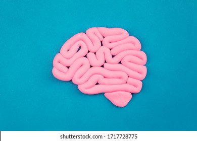 Model of pink human brain on blue background. Profile view, flat lay. Intelligence concept.	