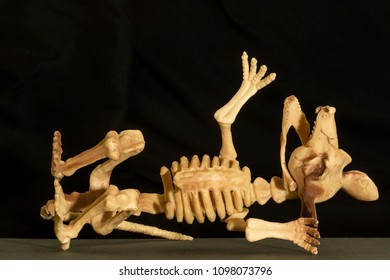 Model Rat Skeleton Stock Photo 1098073796 | Shutterstock