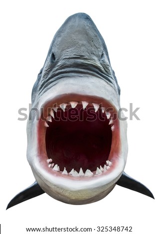 Model of shark with open mouth closeup. Isolated on white. Path included.