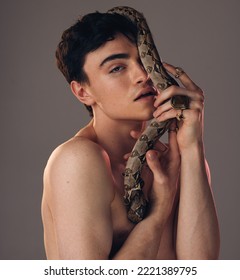 Model Skin Snake, Face Of Man And Grey Studio Background With Health Beauty, Skincare And Makeup. Cosmetics Serpent Guy, Edgy Creative And Facial Wellness Cosmetic In Artistic Portrait With Python