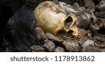 Model skull of human and bones form pit with dark light.Copy space.Concept halloween day.