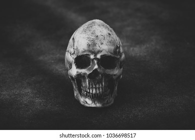 model skull on black background