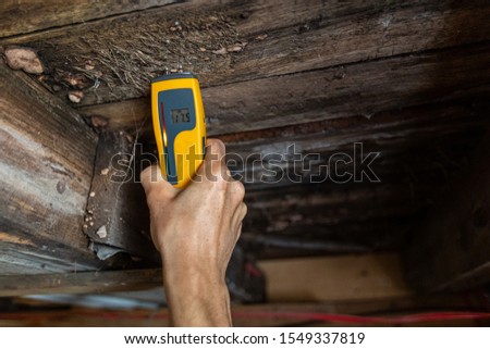 A moderate to high level of moisture is seen on a handheld digital measuring device, used on the underside of wood flooring and support joists with white fungi.