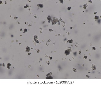 22 Big dimond Images, Stock Photos & Vectors | Shutterstock