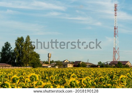 A modern 5g cellular communication tower installed next to an agricultural field for growing sunflower. The threat of poisoning people and the death of crops. Harm from electromagnetic radiation