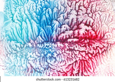 Modern abstract relief painting  art pattern white background  Opposites  fire   ice  hot   cold  red   blue colors  oil paint drips  brain hemispheres  creativity concept