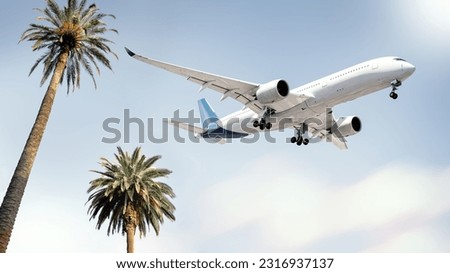 modern airliner arrives above palm trees