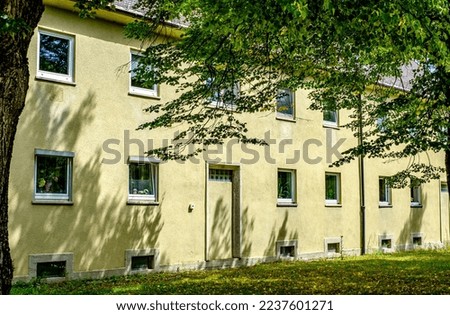 Vorderansicht Pflanze Baum