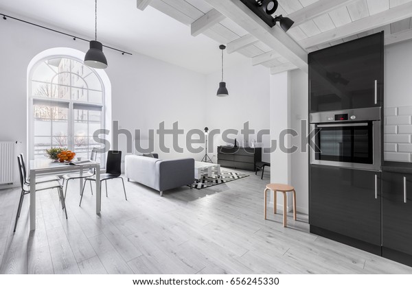 Modern apartment in industrial style with kitchen\
and open living room