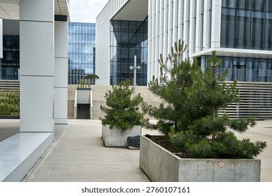Modern architectural complex featuring contemporary buildings with extensive glass curtain walls and white linear structural elements. Foreground contains large rectangular concrete planters with compact pine trees and evergreen shrubs arranged on a light gray paved plaza. Background shows wide stone staircases leading to elevated building entrances, flanked by reflective glass facades and vertical white louvers. The composition emphasizes geometric patterns, clean lines, and minimalist design typical of corporate or institutional campuses. Scene is illuminated by natural daylight with overcast skies, devoid of human presence, highlighting the contrast between organic vegetation and rigid architectural forms.