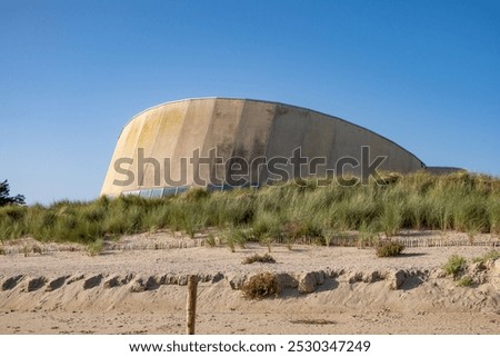Similar – Image, Stock Photo Serene coastal grasses at sunset in Miami, Florida