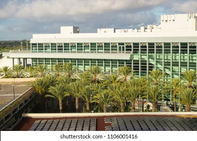 Modern architecture of convention center in California surrounded by palm trees.