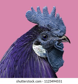 Modern art collage. Blue Cock head isolated on color background.
