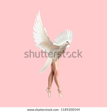 Modern Art collage. Concept Ballerina Dove on pink background.
