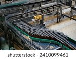 Modern automated beer bottling production line. Beer bottles moving on conveyor.