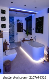 Modern bathroom with freestanding bathtub, modern taps and blue LED ambient lighting