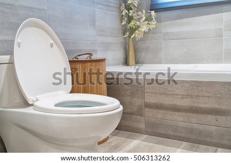 Modern bathroom in luxury house