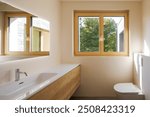 Modern bathroom with toilet and sink. There is a bright window with a view of nature. Nobody inside